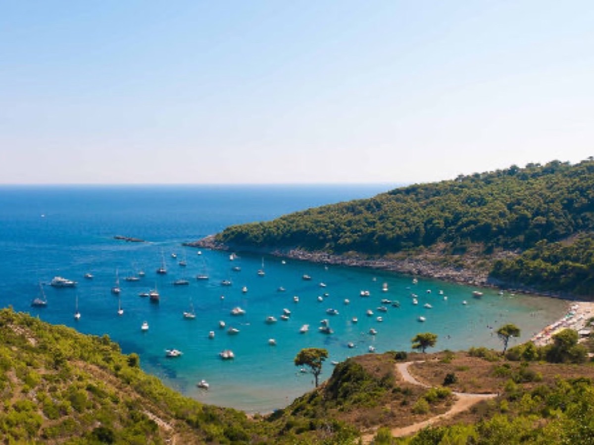 Šunj sand beach on Lopud island